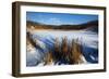 Scenic Winter Landscape-Anthony Paladino-Framed Giclee Print