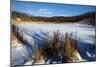 Scenic Winter Landscape-Anthony Paladino-Mounted Giclee Print