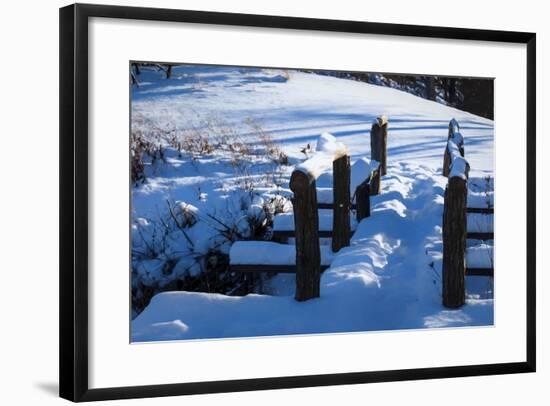 Scenic Winter Walk-Anthony Paladino-Framed Giclee Print