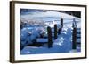 Scenic Winter Walk-Anthony Paladino-Framed Giclee Print