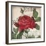 Scent of a Rose I-Sabine Berg-Framed Art Print