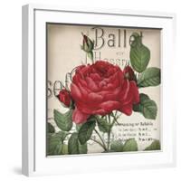 Scent of a Rose I-Sabine Berg-Framed Art Print