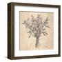 Scent of Sage-Todd Telander-Framed Art Print