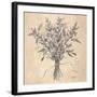 Scent of Sage-Todd Telander-Framed Art Print