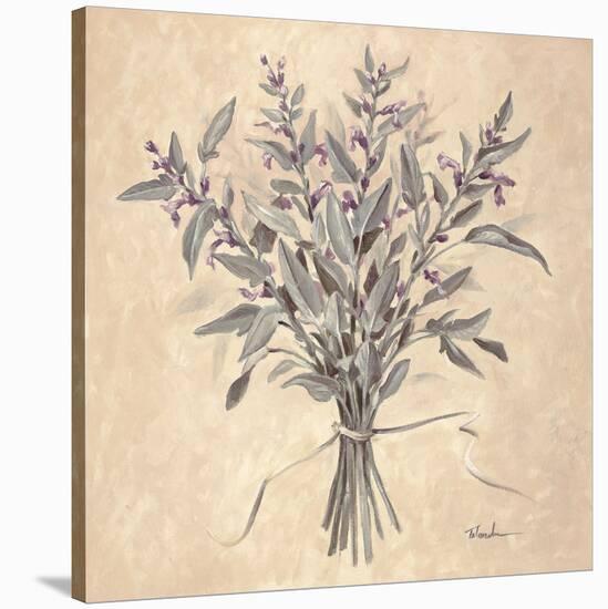 Scent of Sage-Todd Telander-Stretched Canvas