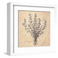 Scent of Thyme-Todd Telander-Framed Art Print