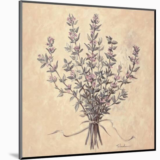 Scent of Thyme-Todd Telander-Mounted Art Print