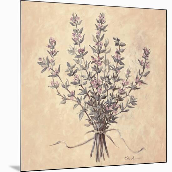 Scent of Thyme-Todd Telander-Mounted Art Print