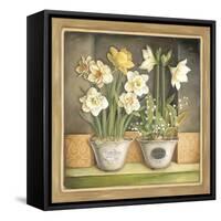 Scented Blooms-Lisa Audit-Framed Stretched Canvas