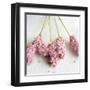 Scented Powdered-Amelie Vuillon-Framed Art Print