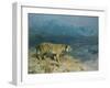 Scenting His Prey-Arthur Wardle-Framed Giclee Print