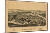 Schaghticoke, New York - Panoramic Map-Lantern Press-Mounted Art Print