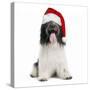 Schapendoes or Dutch SheepWearing Christmas Hat-null-Stretched Canvas
