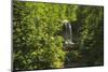 Scheidegg Waterfalls Nature Park, Scheidegg, Bavaria, Germany, Europe-Jochen Schlenker-Mounted Photographic Print