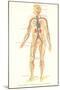 Schematic of Circulatory System-null-Mounted Art Print