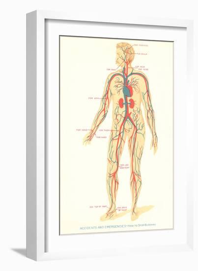 Schematic of Circulatory System-null-Framed Art Print