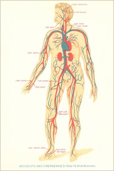 Art Print, , large