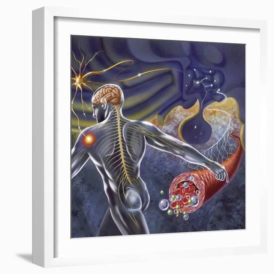 Schematic of the Hypothalamus Receiving Nerve Impulses from the Body-null-Framed Art Print