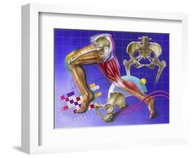 Schematic Showing Hip and Leg Motion-null-Framed Art Print