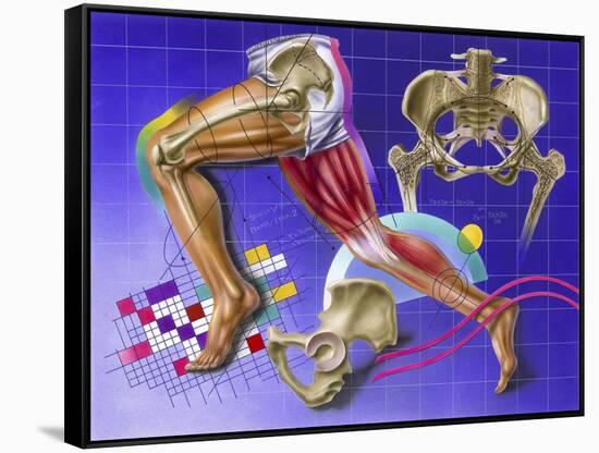 Schematic Showing Hip and Leg Motion-null-Framed Stretched Canvas