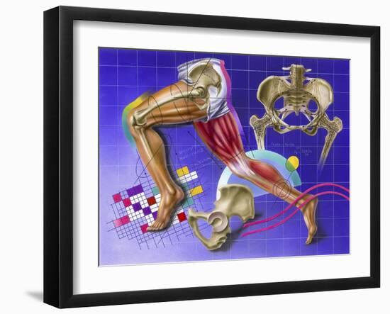 Schematic Showing Hip and Leg Motion-null-Framed Art Print