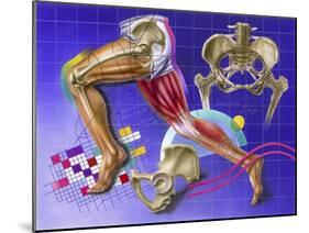 Schematic Showing Hip and Leg Motion-null-Mounted Art Print