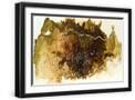 Black Frame
