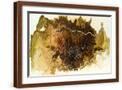 Brown Frame