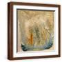 Brown Frame