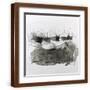 Brown Frame