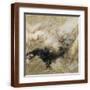 Brown Frame