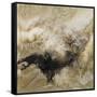 Canvas Black