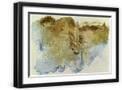 Black Frame