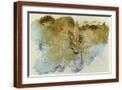 Brown Frame