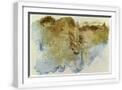 White Frame