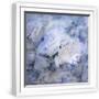Chelsea White