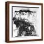 Brown Frame