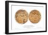 Schiaparelli's Map of Mars, 1877-1888-Detlev Van Ravenswaay-Framed Premium Photographic Print