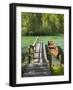 Schiederweiher, Rowing Boat at the Jetty, Upper Austrian Limestone Alps, Upper Austria, Austria-Rainer Mirau-Framed Photographic Print