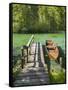 Schiederweiher, Rowing Boat at the Jetty, Upper Austrian Limestone Alps, Upper Austria, Austria-Rainer Mirau-Framed Stretched Canvas