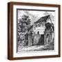 Brown Frame