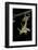 Schistocerca Gregaria (Desert Locust) - Emerging-Paul Starosta-Framed Photographic Print