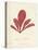 Schizymenia edulis-Henry Bradbury-Stretched Canvas