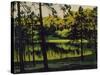 Schlachtensee Near Berlin-Walter Leistikow-Stretched Canvas