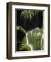 Schleierfaelle Waterfall in Bavaria-Franz Marc Frei-Framed Photographic Print