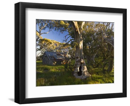 Premium Photographic Print, , large