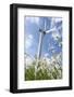 Schleswig-Holstein, Wind Turbine, Nature, Wind Power-Catharina Lux-Framed Photographic Print