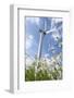 Schleswig-Holstein, Wind Turbine, Nature, Wind Power-Catharina Lux-Framed Photographic Print