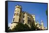 Schloss Hohenschwangau-Robert Harding-Framed Stretched Canvas