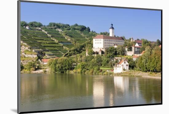 Schloss Horneck Castle, Gundelsheim, Neckartal Valley-Marcus Lange-Mounted Photographic Print